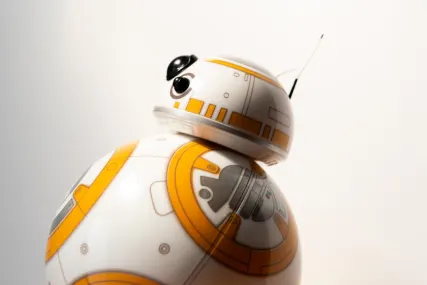 빙고플링 카지노 모바일 앱